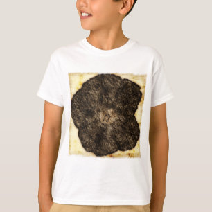 Morning Glory Old Time Sketch T-Shirt