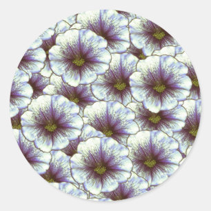 Morning Glory Purple and White Classic Round Sticker