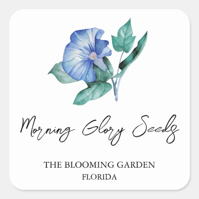 Morning Glory Seeds label (Front)