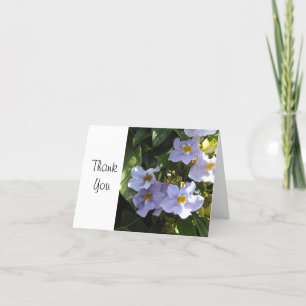 Morning Glory Thank You Card