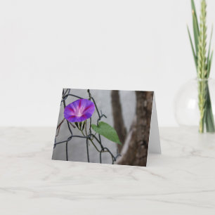 Morning Glory Thank You Card