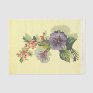Morning Glory Tissue Paper