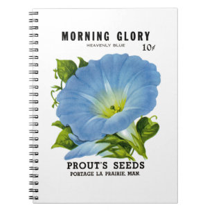 Morning Glory Vintage Seed Packet Notebook