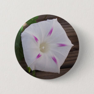 Morning Glory White 6 Cm Round Badge