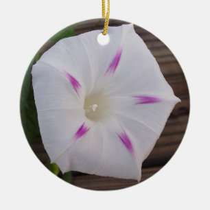 Morning Glory White Ceramic Tree Decoration