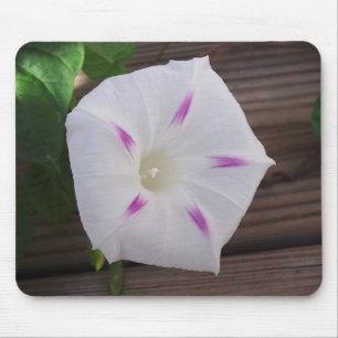Morning Glory White Mouse Pad