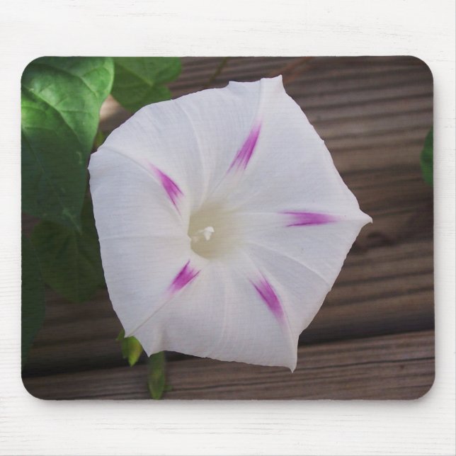 Morning Glory White Mouse Pad (Front)
