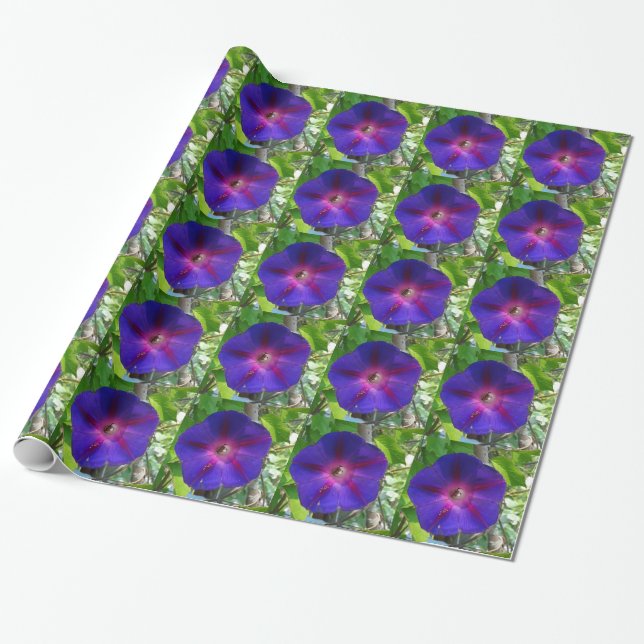Morning Glory Wrapping Paper (Unrolled)