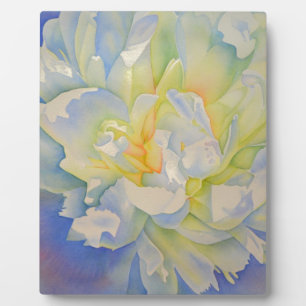 Morning Glow white peony watercolor painting Plaque