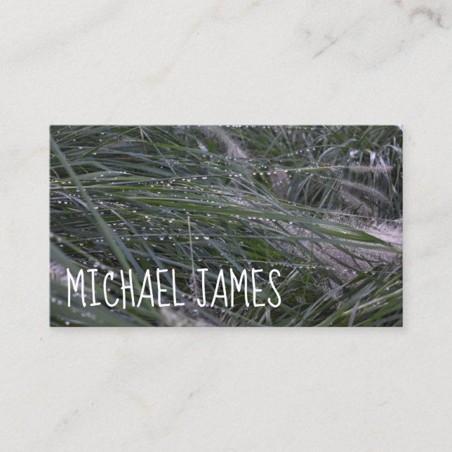 Morning Grass Dewdrops Rain Nature Photography Business Card (Front)