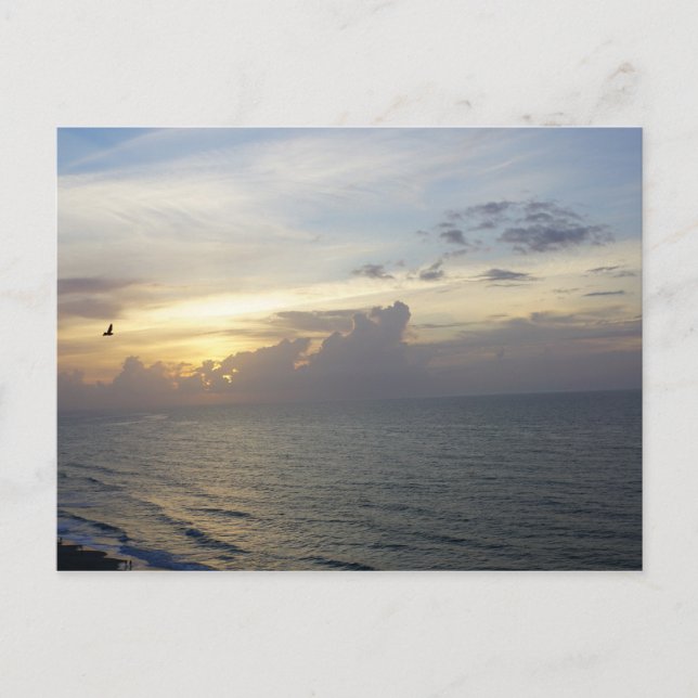 Morning Has Broken Postcard (Front)