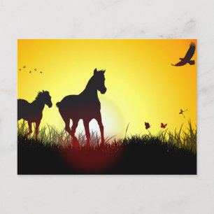 morning horses postcard