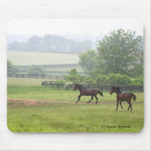 Morning Horses running Mousepad