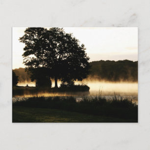 Morning Lake Scene pca Postcard