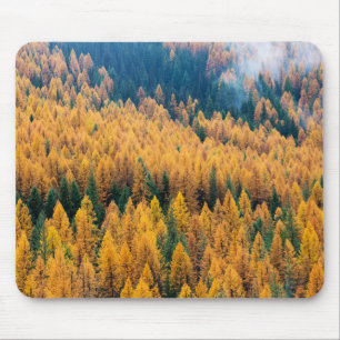 Morning Light at the Beach   Tybee Island Mouse Pad