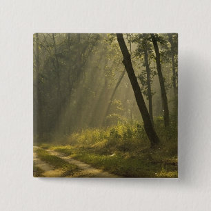 Morning light beams through trees in jungle 15 cm square badge
