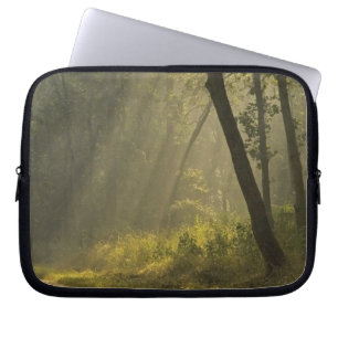 Morning light beams through trees in jungle laptop sleeve