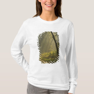 Morning light beams through trees in jungle T-Shirt