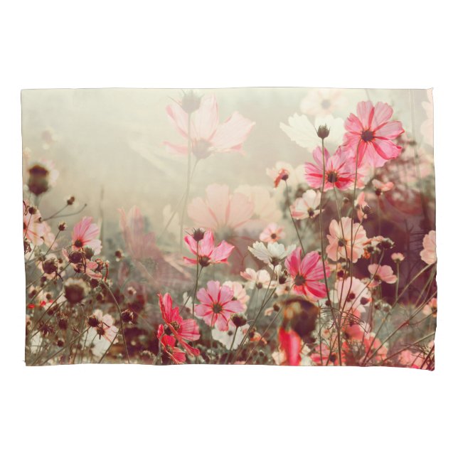 Morning light, blooming pink cosmos. pillowcase (Front)