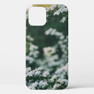 MORNING LIGHT iPhone 12 CASE