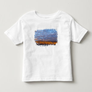 Morning light greets the Sierra de la Giganta Toddler T-Shirt