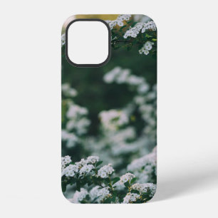 MORNING LIGHT iPhone 12 CASE