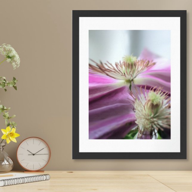 Morning Light Purple Passion Flower Poster (Creator Uploaded)