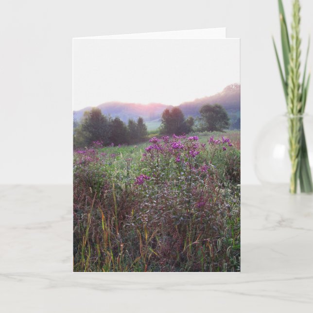 Morning Meadow Blank Card (Front)
