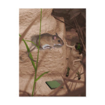 Morning Miss Mouse..