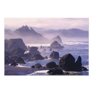 Morning mist along Oregon coast near Nesika, Photo Print