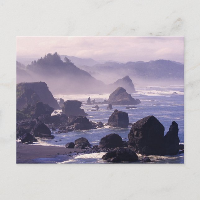Morning mist along Oregon coast near Nesika, Postcard (Front)