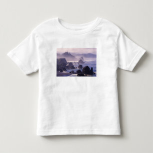 Morning mist along Oregon coast near Nesika, Toddler T-Shirt