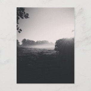 Morning mist and low sun on the field when droppib postcard