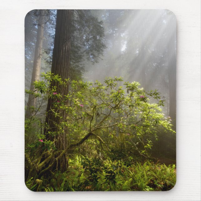 Morning Mist on Rhododendron Mouse Pad (Front)