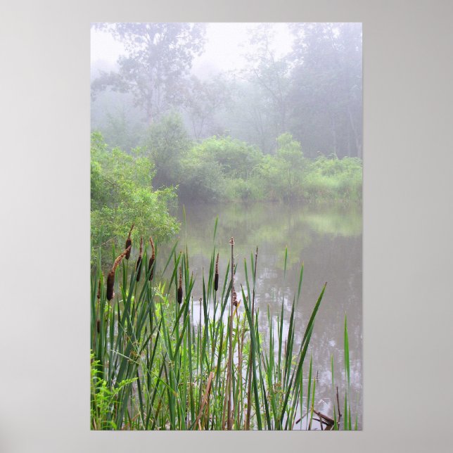 Morning Mist on the Pond Poster (Front)