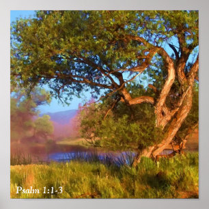 MORNING MIST ON THE SHASTA  2 POSTER