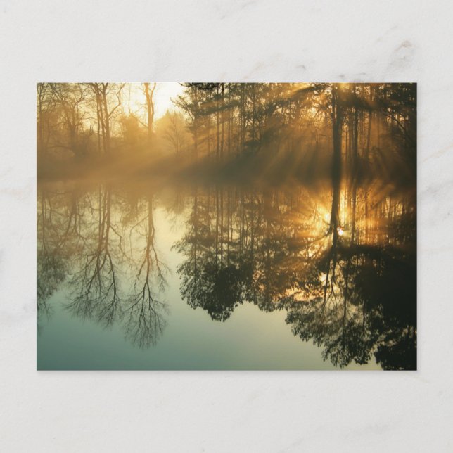 Morning Mist Postcard (Front)