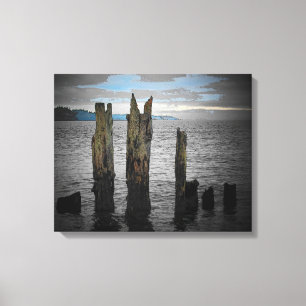 Morning on the Puget Sound by djoneill Canvas Print