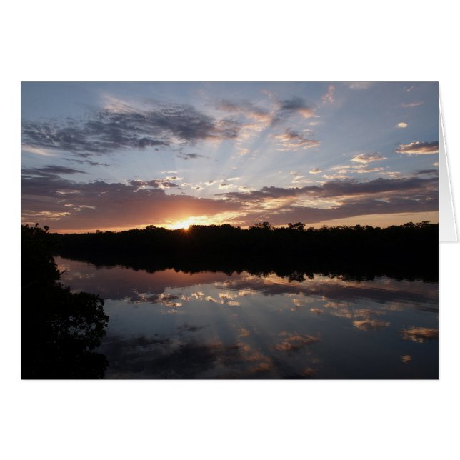 Morning Rays (Front Horizontal)