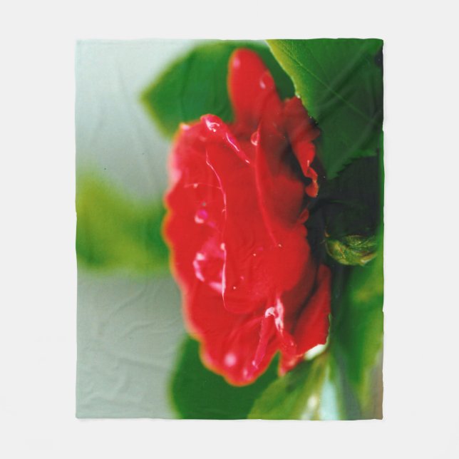 Morning red Rose covered with dew drops Fleece Blanket (Front)