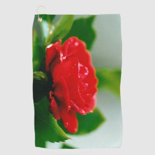 Morning red Rose covered with dew drops  Golf Towel
