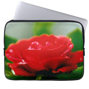 Morning red Rose covered with dew drops  Laptop Sleeve
