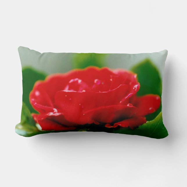 Morning red Rose covered with dew drops  Lumbar Cushion (Front)