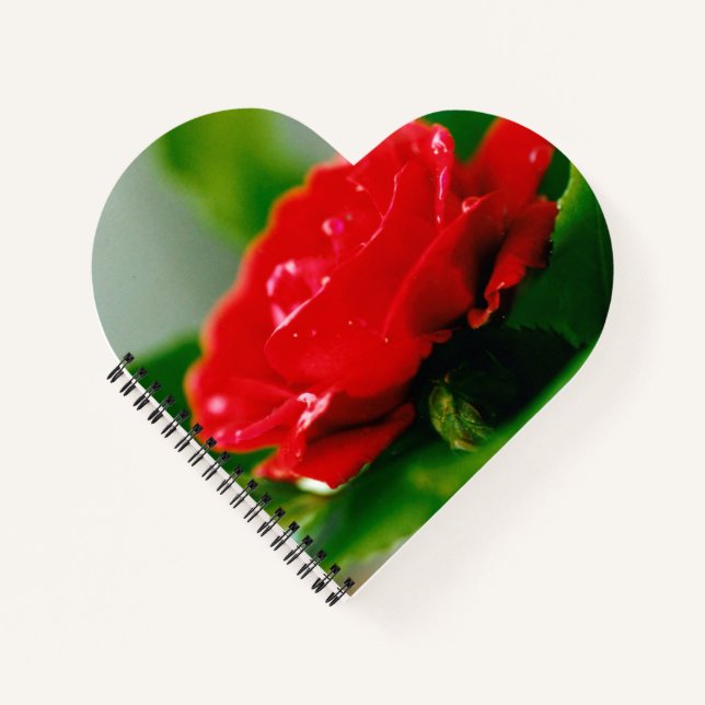  Morning Red Rose Heart shaped Spiral Notebook (Front)