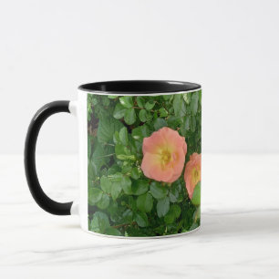 Morning Roses Mug