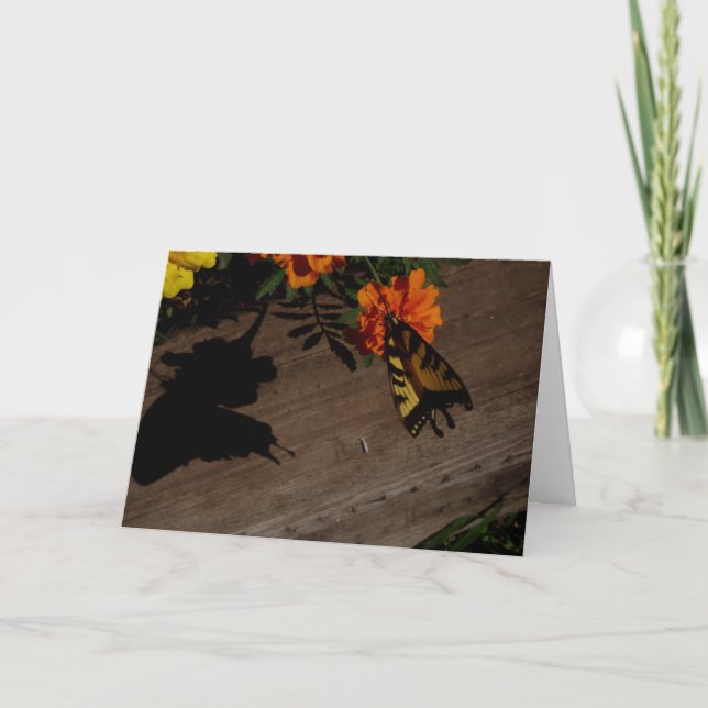 "Morning Shadow" Easter Card (Front)