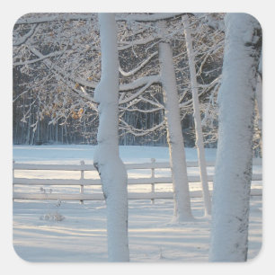 Morning Snowy Meadow Sticker