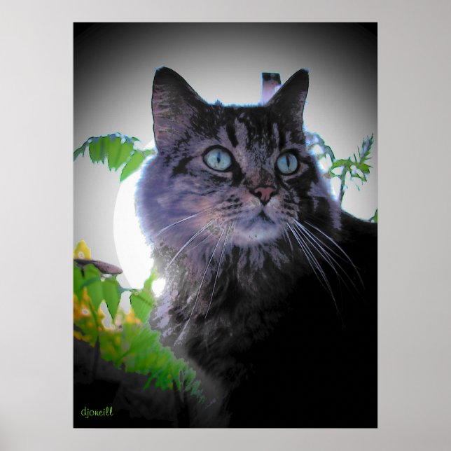 Morning sun is up poster (Front)