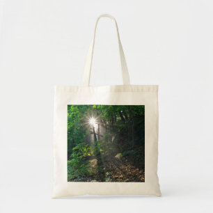 Morning Sunbeams Through Forest of Kaposia Park Tote Bag