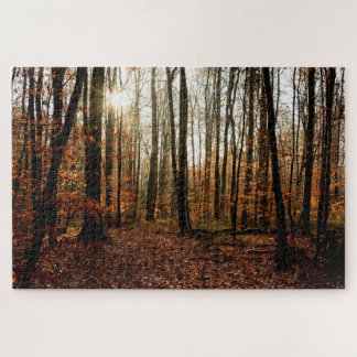 Morning sunbeams through the forest jigsaw puzzle